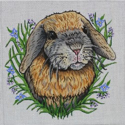 R1014  - Bunny