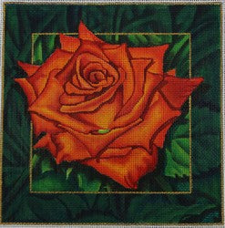 R110 - Orange Rose