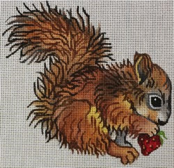 R1115 - Baby Squirrel