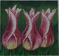 R114 - Tulips