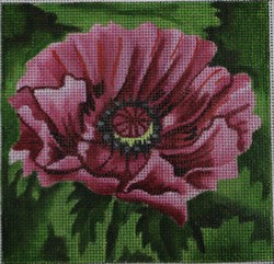 R116 - Poppies