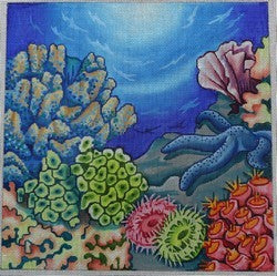 R144 - Tropical Reef