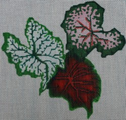 R152 - Multicolor Leaves