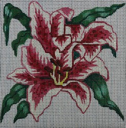 R155 - Red and White Flower