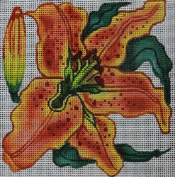 R157 - Tiger Lily