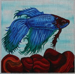 R300 - Blue, Red and Green Fish with Red Coral