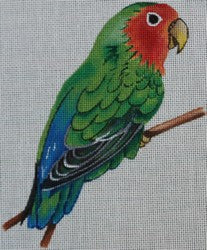 R302 - Parrot