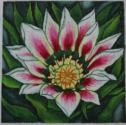 R305 - Water Lily