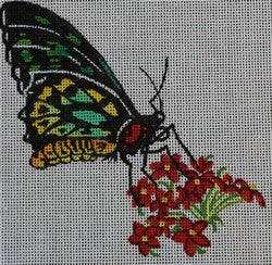 R311 - Butterfly with Red and Yellow Flowers