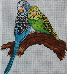 R321 - Parrots