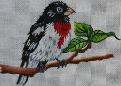 R322 - Rose-Breasted Grosbeak