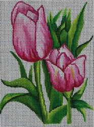 R339 - Tulips