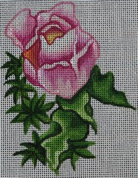 R340 - Pink Rose