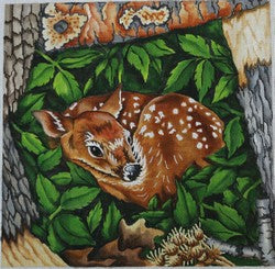 R347 - Resting Fawn