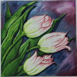 R355 - Pink Tulip