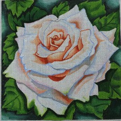 R374 - White Rose