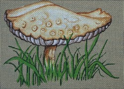 R383 - Mushroom