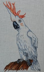 R470 - Cockatoo