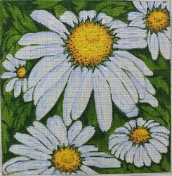 R522 - Daisies