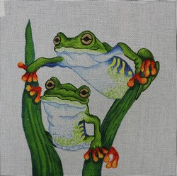 R717 - Tree Frogs