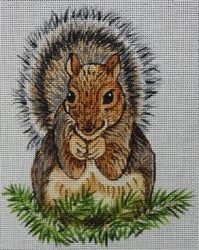 R829 - Squirrel