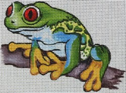 R837 - Red Eyed Three Frog