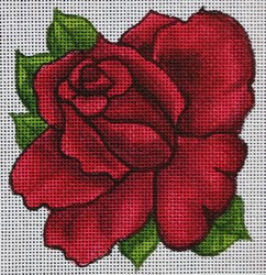 R850 - Red Rose