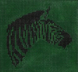 KK-SS24 - Zebra on Kelly Green