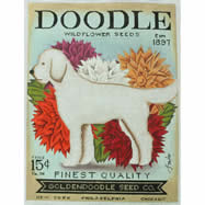 TC-SF302 - Doodle Seed Company