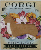 TC-SF303 - Corgi Seed Company