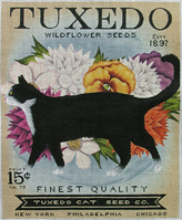 TC-SF304 - Tuxedo Seed Company