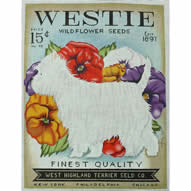 TC-SF308 - Westie Seed Company