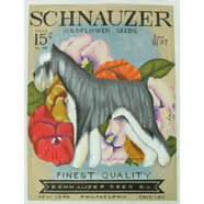 TC-SF310 - Schnauzer Seed Company