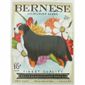 TC-SF311 - Bernese Seed Company