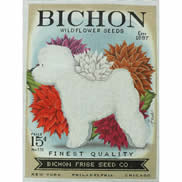 TC-SF312 - Bichon Seed Company